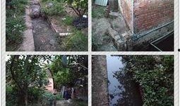 成都养猪场爆料视频大全,揭秘养殖场真实内幕