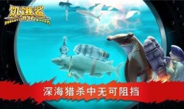 鲨龙在线观看,惊险刺激的深海冒险之旅