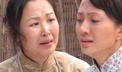 电视剧苦菜花在线观看,抗战岁月里的坚韧与抗争