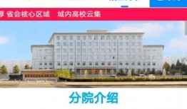 吉林教育台在线观看,开启便捷学习新篇章