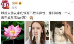 娱乐圈爆料金晨,娱乐圈新恋情引发热议