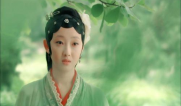 赵昭仪黑历史爆料视频,黑历史爆料视频背后的真相与争议