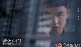 黄雀在线观看,揭秘网络世界的神秘力量