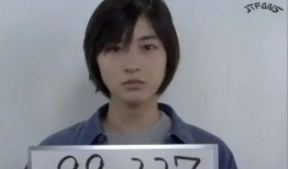 唇膏日剧在线观看,浪漫邂逅，甜蜜绽放