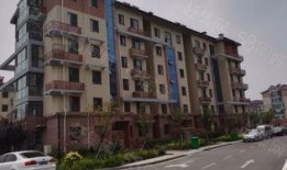 鸿埠园最新爆料消息新闻,揭秘神秘项目背后的惊人真相