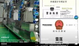 雪莲爆料视频大全集最新,揭秘娱乐圈不为人知的秘密