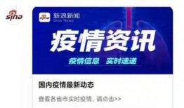 怎么给新浪新闻爆料,如何高效提供新闻线索