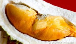 榴莲鱼臭蛋爆料视频,揭秘网络爆红视频背后的惊人真相