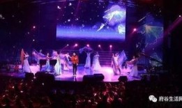 唐山歌厅助唱爆料视频,揭秘幕后爆料视频惊人真相