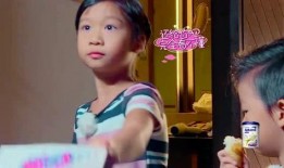 爆料陈雅夫妇视频,揭秘背后惊人真相