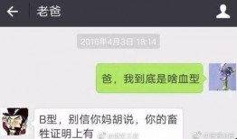 爆料新闻搞笑视频网站,爆料新闻背后的欢乐风暴