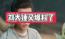 刘大锤爆料名单最新消息,揭秘娱乐圈风云变幻