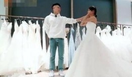 张嘉倪娱乐爆料视频播放,揭秘娱乐圈幕后真相