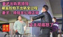 男子爆料妻子出轨领导视频,男子妻子出轨领导，真相令人震惊