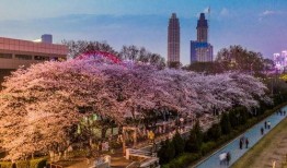 抖音新瓜最新爆料入口,一键掌握热门资讯，尽享短视频盛宴！