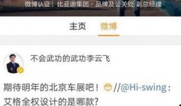 比亚迪高管爆料最新信息,揭秘新能源汽车产业未来趋势与技术创新