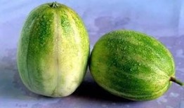 门主吃瓜爆料抖音网红,揭秘抖音网红背后的故事