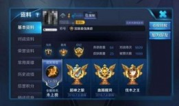 王者最新新皮肤爆料国服,王者国服新皮肤惊艳亮相，神秘英雄即将登场