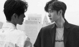 官方爆料肖战事件视频,官方爆料揭示真相全貌