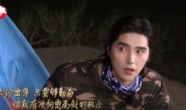 娱乐大爆料顶流小花,揭秘顶流小花背后的故事与魅力