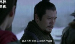 新三国25集在线观看,烽火连天，英雄辈出