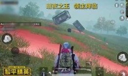 和平精英爆料最新视频,精彩内容抢先看，游戏体验再升级！