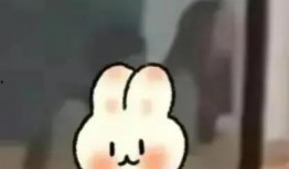 6分钟吃瓜视频免费观看,揭秘热门视频背后的精彩瞬间