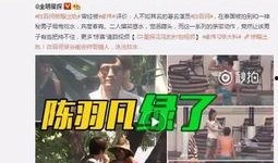 老刘爆料刘伟恒视频全集,老刘爆料视频全集深度解析