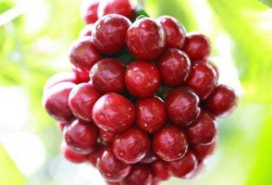 爆料提子视频大全最新网站,海量资源一网打尽