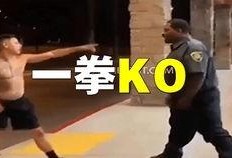 伞兵最新爆料视频大全,揭秘战场瞬间与英勇瞬间