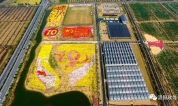 泗阳网红爆料是谁啊最新消息,揭秘神秘事件真相！”